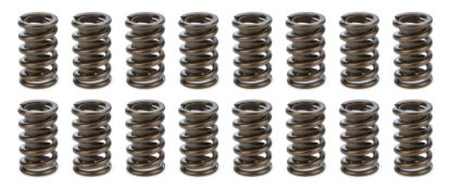 1.260 Valve Springs  w/ Damper (16)