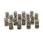 Dual Valve Springs - GM LS (16)