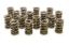 1.539 Dual Valve Springs (16)