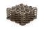 1.210 Valve Springs - Ovate Beehive (16)
