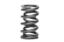 1.274 Dual Valve Spring GM LS (1)