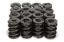1.645 Triple Valve Springs (16)