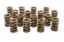 1.550 Dual Valve Springs (16)