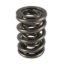 1.645 Triple Valve Spring (1)