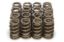 1.250 Valve Springs - Ovate Beehive (16)