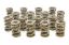 1.695 Triple Valve Springs (16)