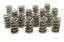 1.564 Dual Valve Springs (16)