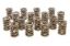 Valve Springs - HR Series (16)