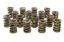 Valve Springs - HR Series (16)