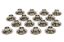 1.365 TI Valve Spring Retainers - 10 Degree
