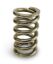 Calibrated Test Spring Medium 50-450lbs