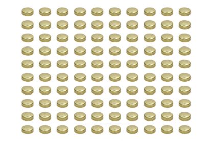 Expansion Plugs - 1-5/8 Brass (100pk)