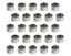 SBF Dowel Pins (25)