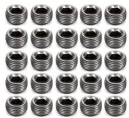 Pipe Plugs - 3/8 (25)