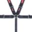 Harness 5pt Camlock PD 3in SFI