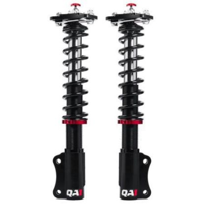 Strut Kit Mustang 05-14 Dbl Adj 300lbs Spring