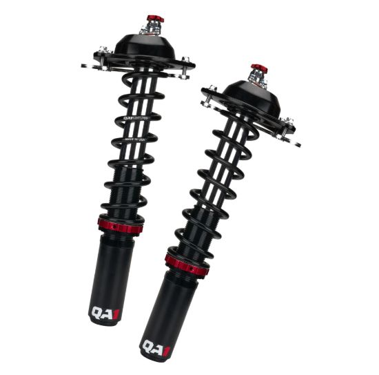 Strut Kit F-Body 82-92 Dbl Adj 170lbs Spring