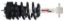 Suspension Strut and Coil Spring