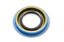 Pinion Seal GM 12 Bolt