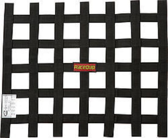 Ribbon Net 18x21 SFI Black