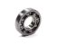 Back Body Bearing