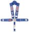 5 Pt Harness System L&L P/D B/I V 55in Platinum