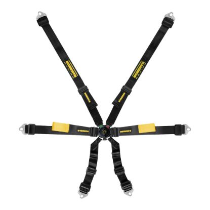 Harness 6pt Enduro Black Shoulder & Lap