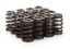 1.237 Beehive Valve Springs 16pk