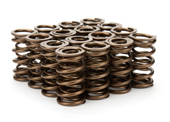 1.290 Dual Valve Springs 16pk