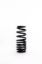 Barrel Spring 10in x 2.5in Progressive DLM