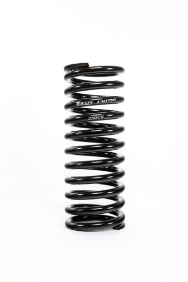 Coil Spring Conv Rear 13in x 5in 250lb