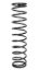 Conventional Spring 20in x 5in x 125lb
