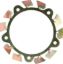 Brake Fan - LH Wide 5