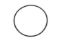 O-Ring  Dust Cap GN