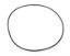 O-Ring Gear Cover 12070