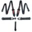 Harness 5PT Black Cam L 2 In Shoulder SFI 16.1