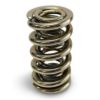 Picture of Proform Engine Valve Spring Check Spring - BB1901