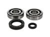 Picture of ProX Racing Parts Engine Crankshaft Main Bearing Set - 23.CBS13084