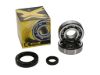 Picture of ProX Racing Parts Engine Crankshaft Main Bearing Set - 23.CBS13084