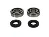 Picture of ProX Racing Parts Engine Crankshaft Main Bearing Set - 23.CBS41088