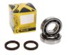 Picture of ProX Racing Parts Engine Crankshaft Main Bearing Set - 23.CBS43087