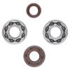 Picture of ProX Racing Parts Engine Crankshaft Main Bearing Set - 23.CBS60001