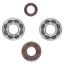 Picture of ProX Racing Parts Engine Crankshaft Main Bearing Set - 23.CBS60001