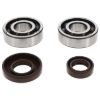 Picture of ProX Racing Parts Engine Crankshaft Main Bearing Set - 23.CBS60001