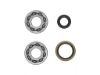 Picture of ProX Racing Parts Engine Crankshaft Main Bearing Set - 23.CBS60009