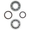 Picture of ProX Racing Parts Engine Crankshaft Main Bearing Set - 23.CBS73050