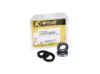 Picture of ProX Racing Parts Wheel Bearing Kit - 23.S110092