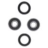 Picture of ProX Racing Parts Wheel Bearing Kit - 23.S117036