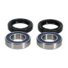 Picture of ProX Racing Parts Wheel Bearing Kit - 23.S117036