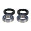Picture of ProX Racing Parts Wheel Bearing Kit - 23.S160025